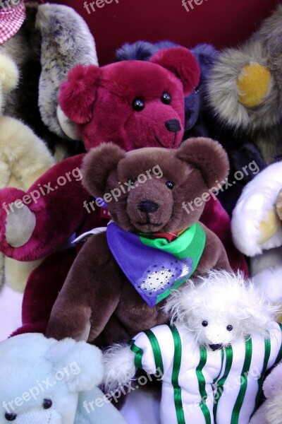 Teddy Bears Colorful Stuffed Animal Toys Plush Toys