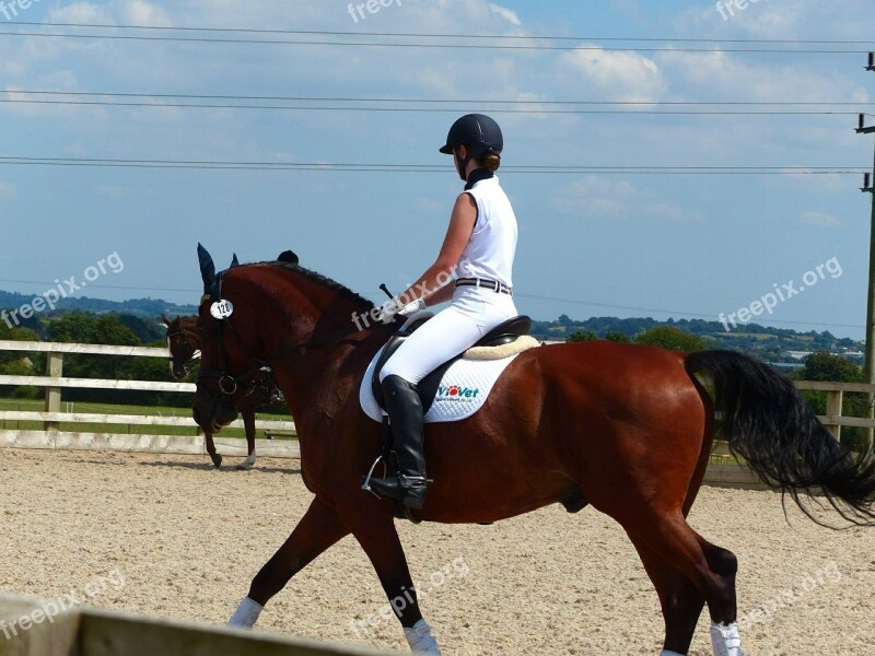 Horse Horserider Equine Horseriding Competition