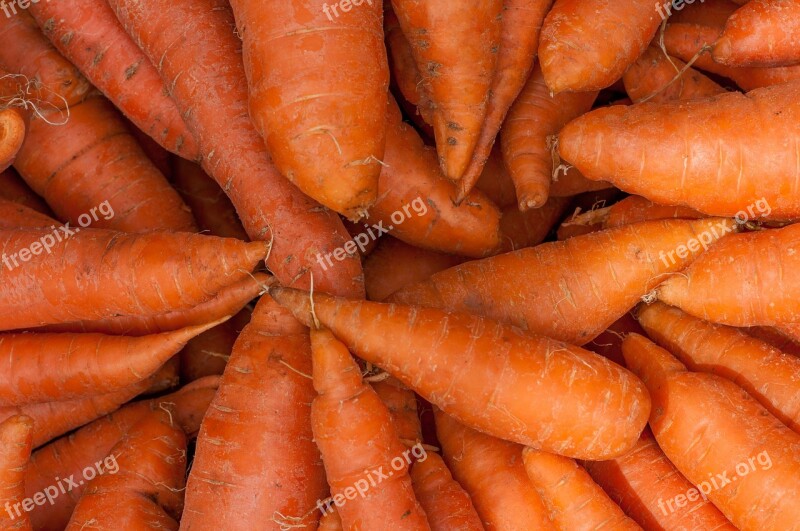 Carrots Fresh Food Cart Farmers Market