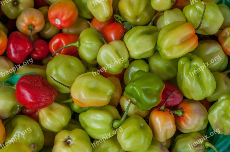 Peppers Hot Green Red Capsicum