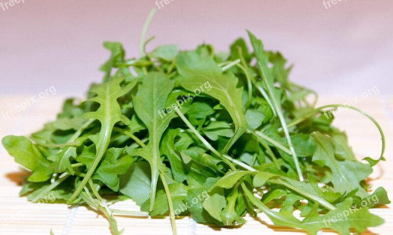 Rocket Plant Salad Fresh Green