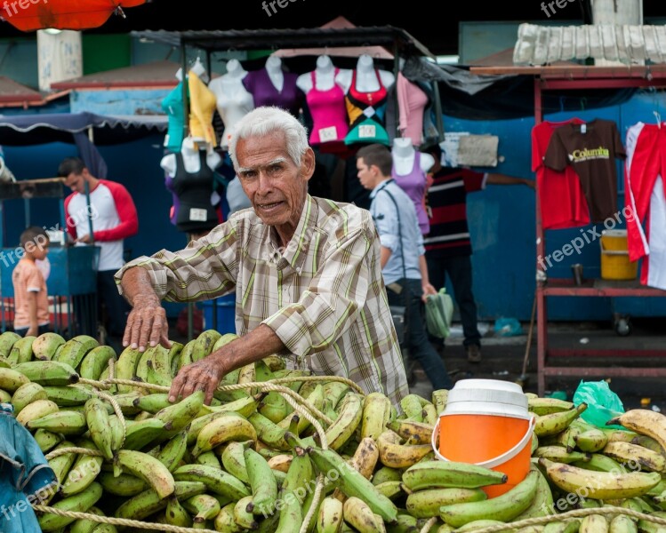 Bananas Vendor Open Market Street Farmers