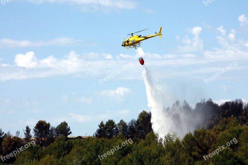 Helicopter Seaplane Forest Fire Tree