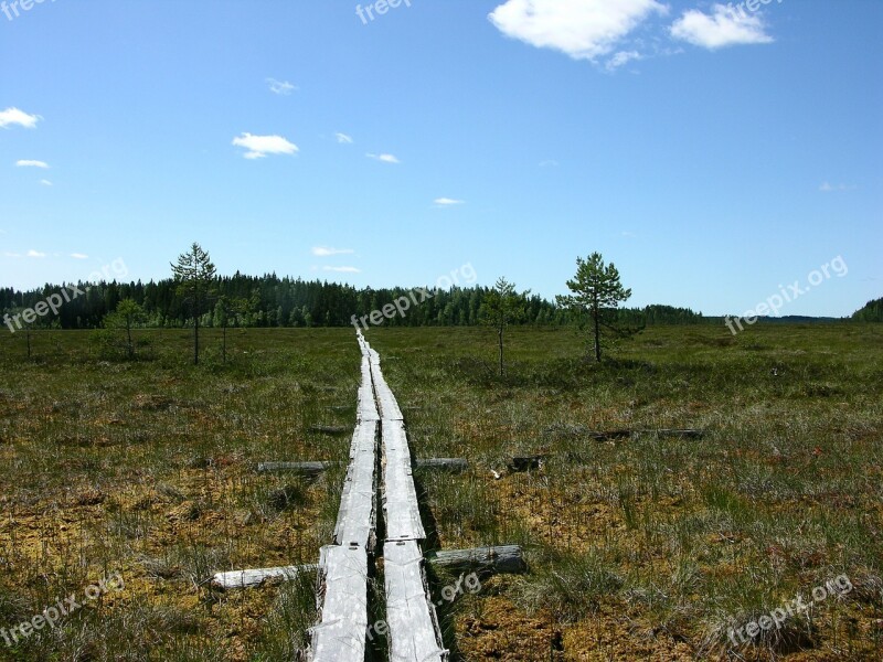 The Path Swamp Duckboards Finnish Nature