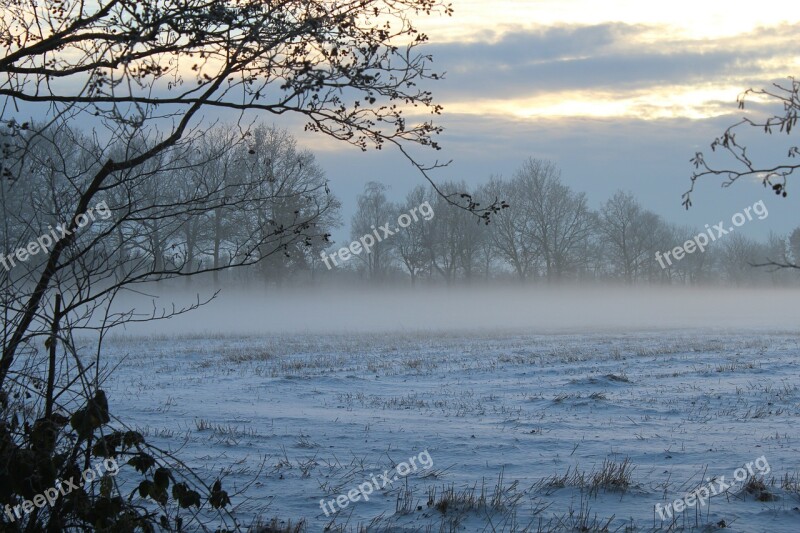 Fog Winter Fog Bank Dusk Snow