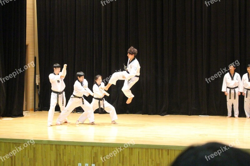 Taekwondo Kick Jump Korea Sport