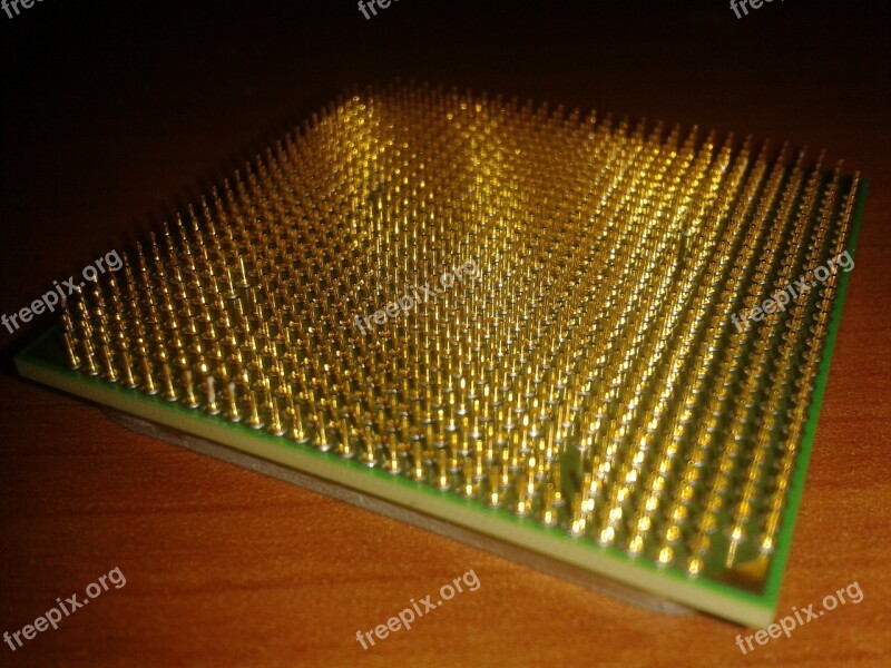 Pins Cpu Processor Gold Computer