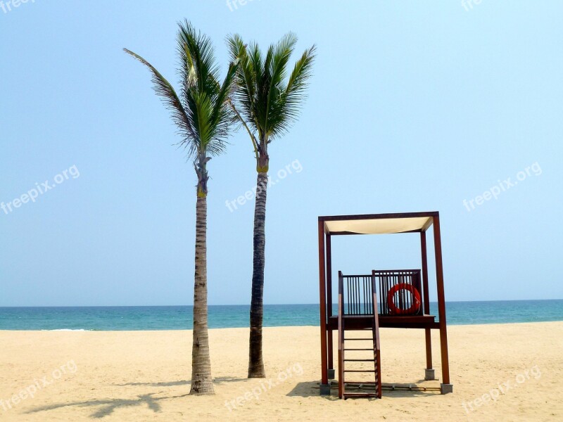 Beach Holidays Palm Trees Sea Water