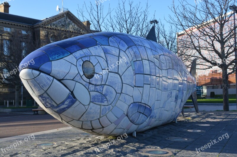 Fish Work Of Art Belfast Free Photos