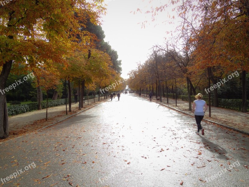 Park Run Running Loneliness Sun