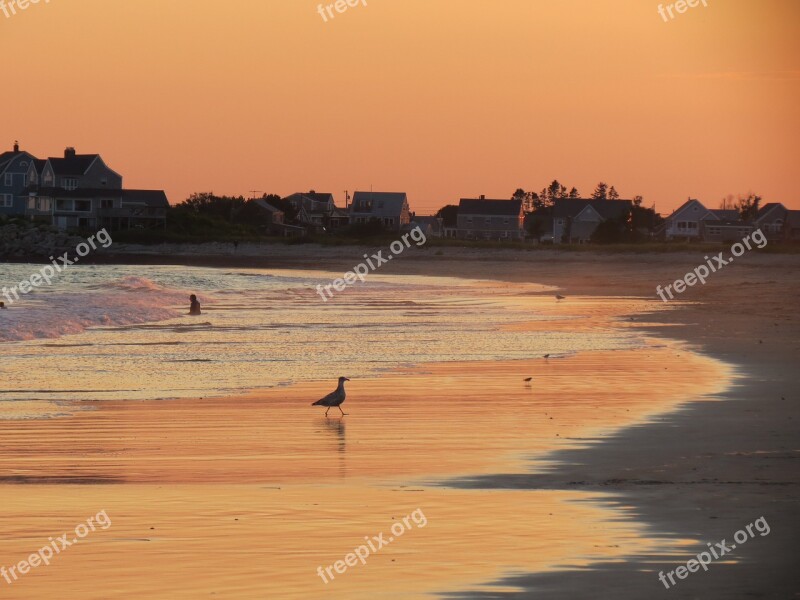 Sunset Coastline Seascape Russet Free Photos