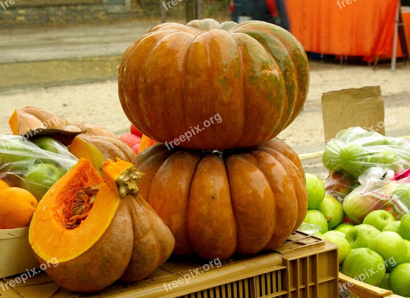 Pumpkin Squash Vegetables Market Fall