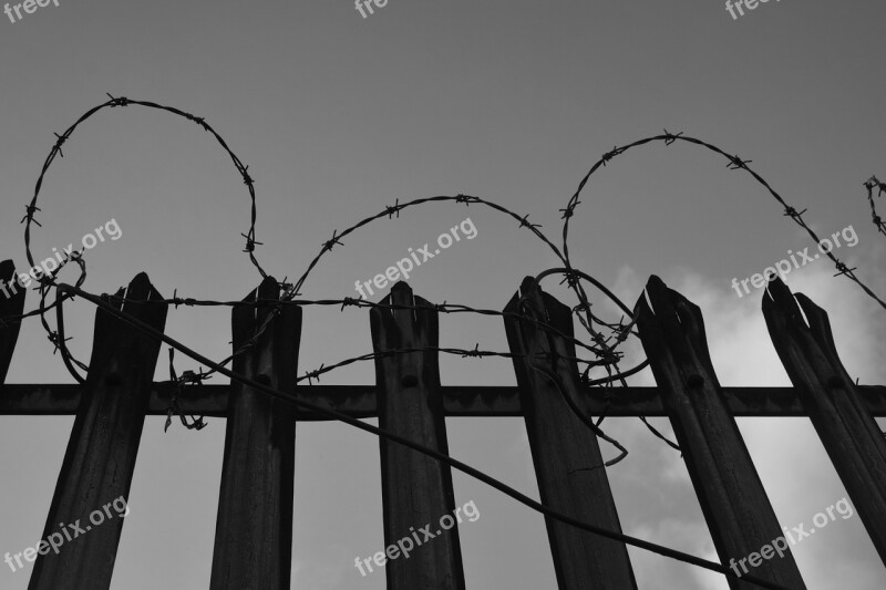 Barbed Wire Fence Secretion Free Photos