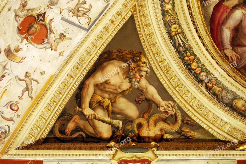 Man Dragon Painting Art Ceiling