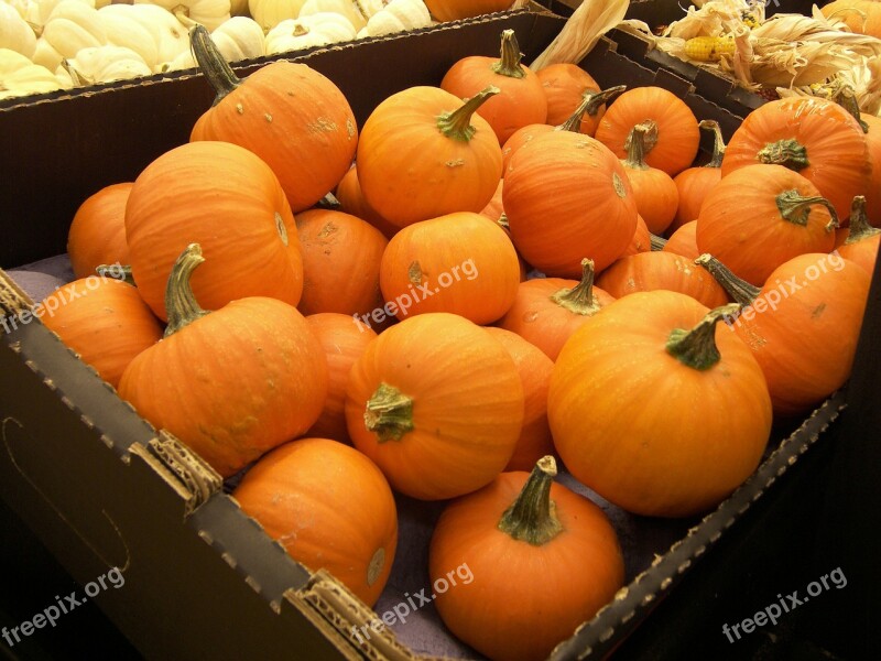 Pumpkins Crate Food Vegetables Orange