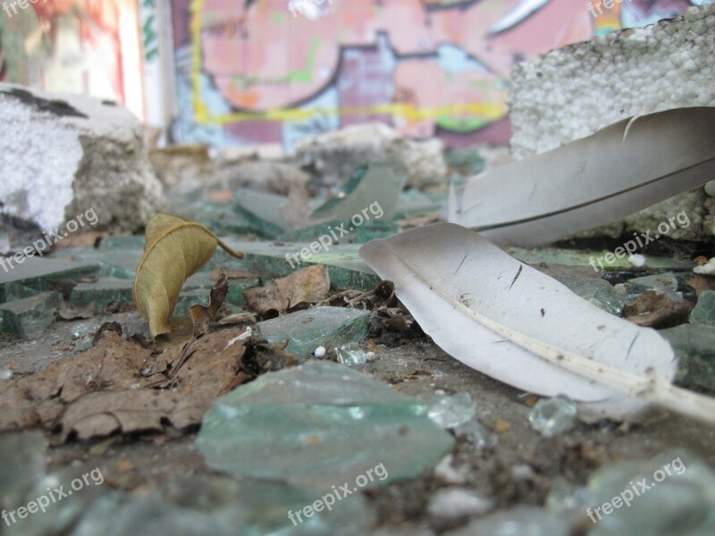 Feather Glass Splitter Shard Dirt