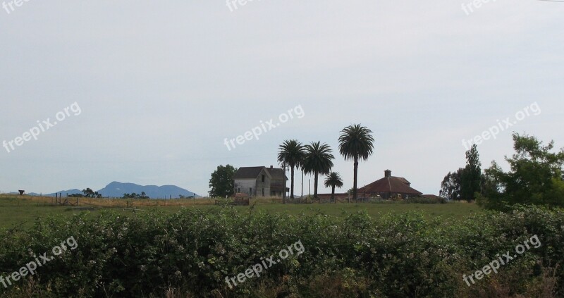 Historic Hop Farm St Helena Santa Rosa California Palm