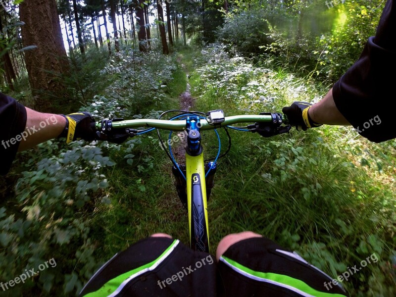 Mountain Bike Sport Forest Nature Forest Path