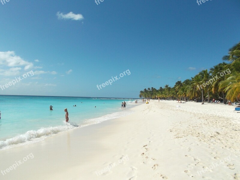 Santo Domingo Saona Island Beach Free Photos