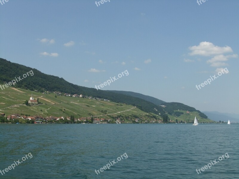 Biel Lake Biel Summer Peter Island Switzerland