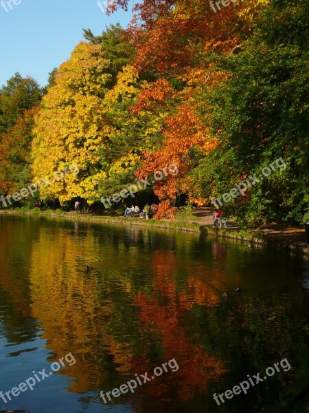 Lake Reflection Water Autumn Fall