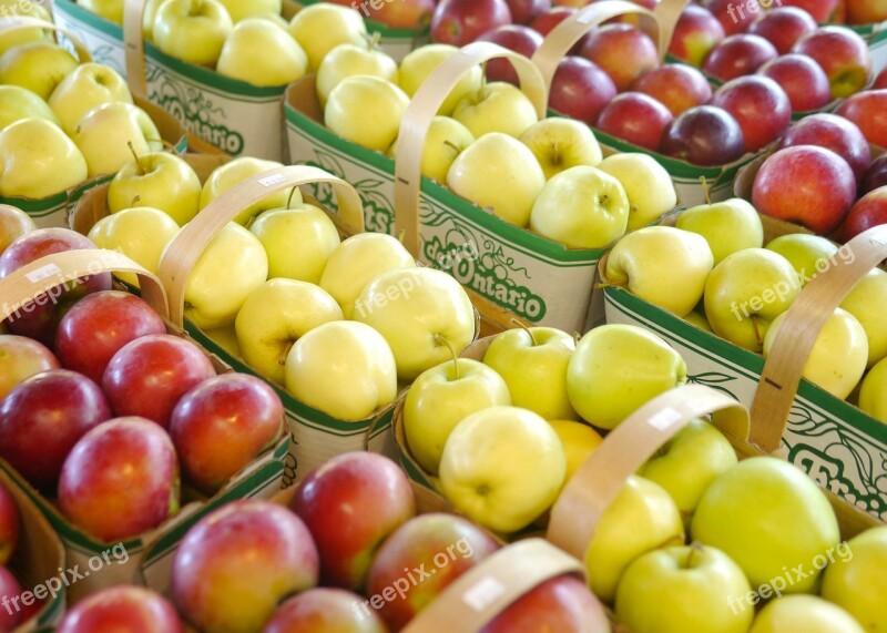 Apples Season Red Yellow Apple