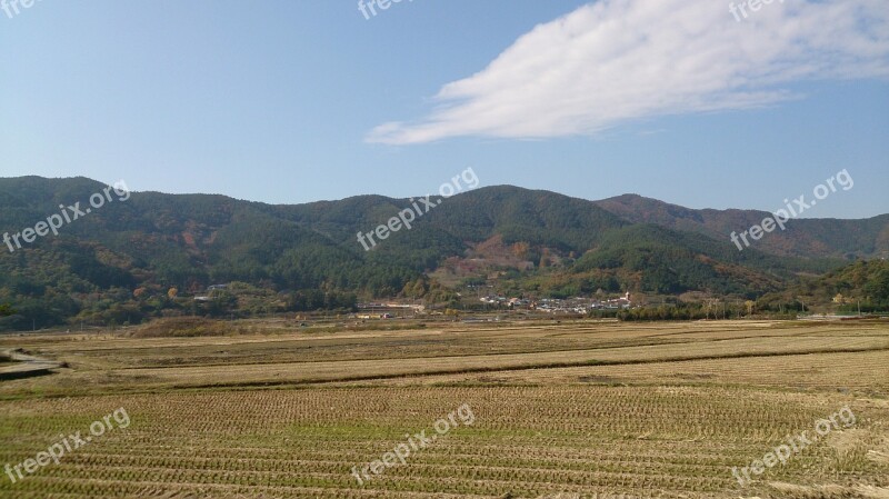 Gwangyang Background Landscape Jeolla-do Republic Of Korea