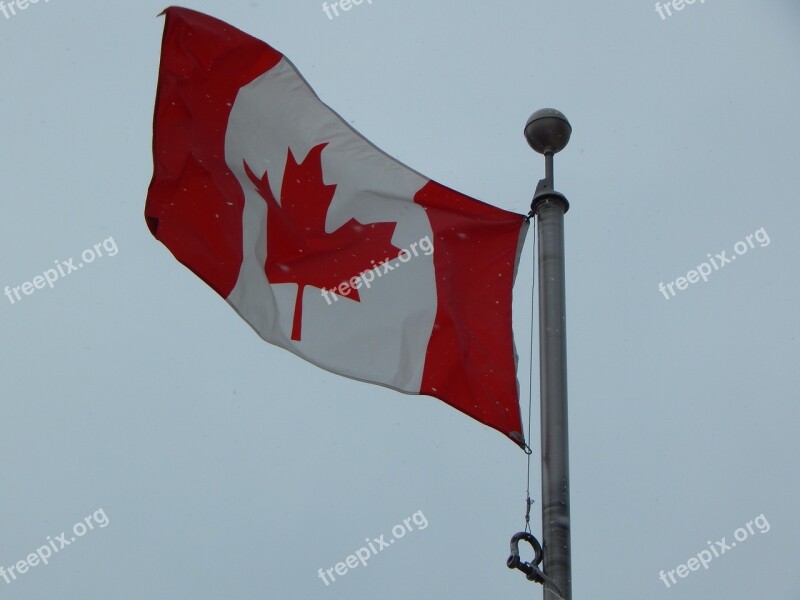 Canadian Flag Winter Snowing Canada Flag