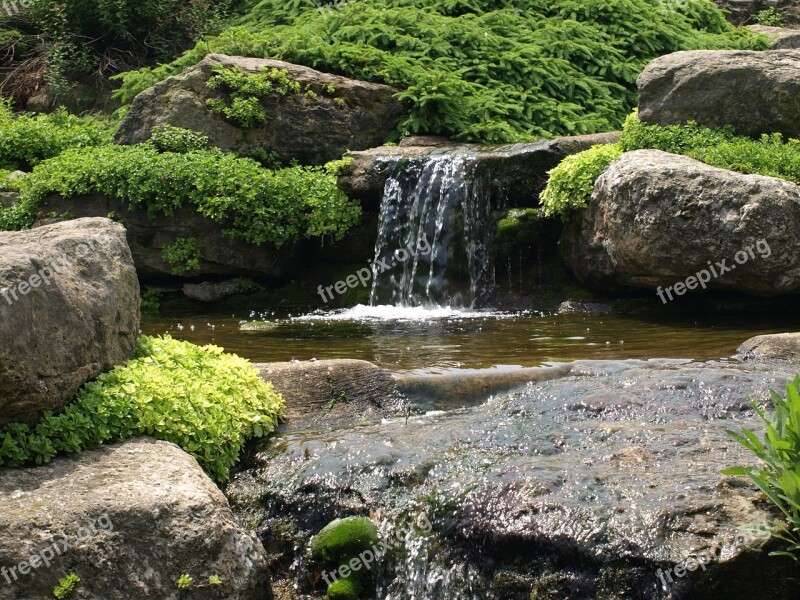 Waterfall Moss Water Nature Green