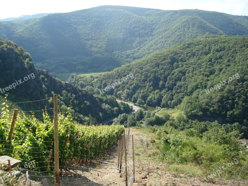 Vineyards Sky Winegrowing Nature Blue