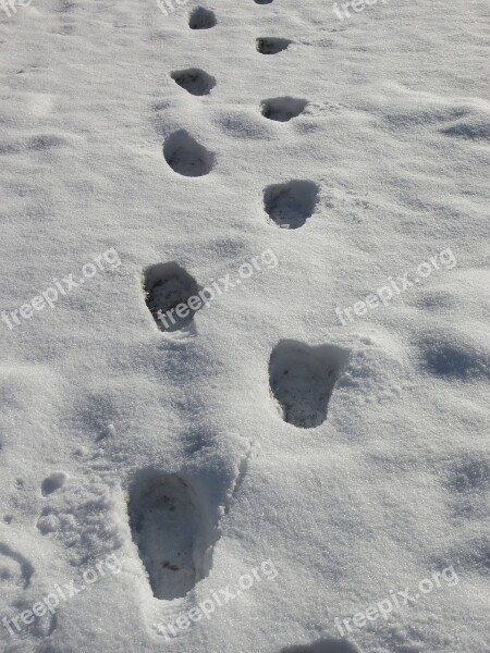 Footprints Snow Prints Snow Winter Tracks