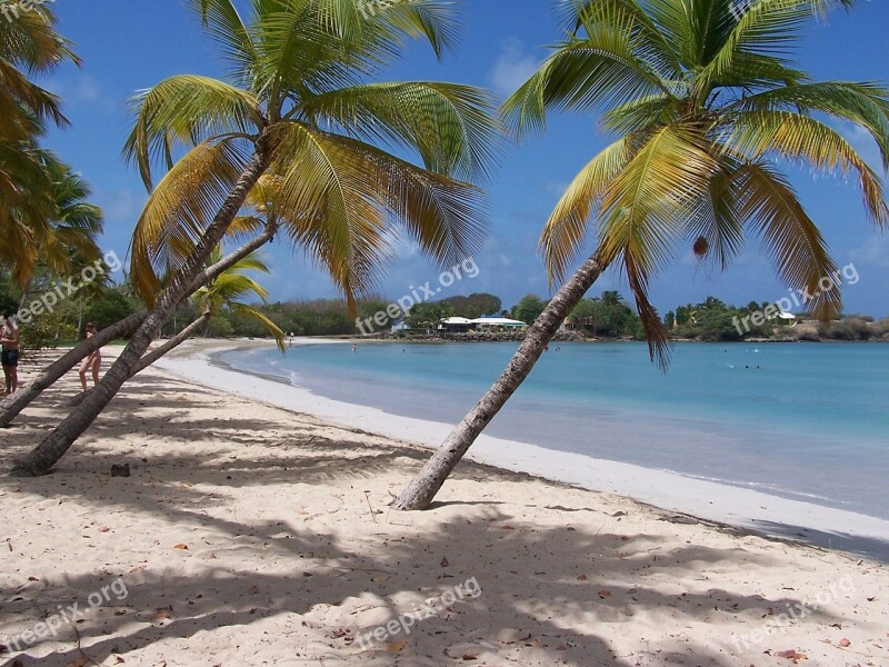 Beach Martinique Caribbean French Tourism