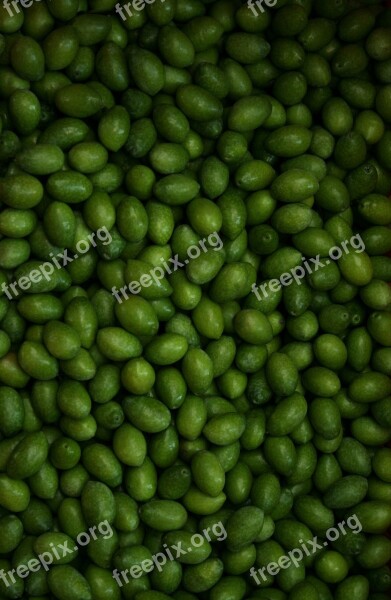 Olives Agriculture Food Puglia Green