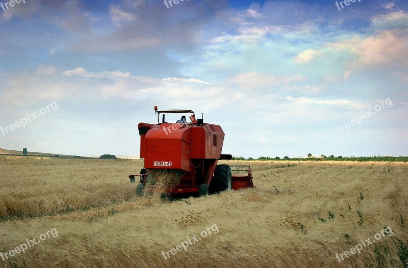 Agriculture Puglia Wheat Work Threshing