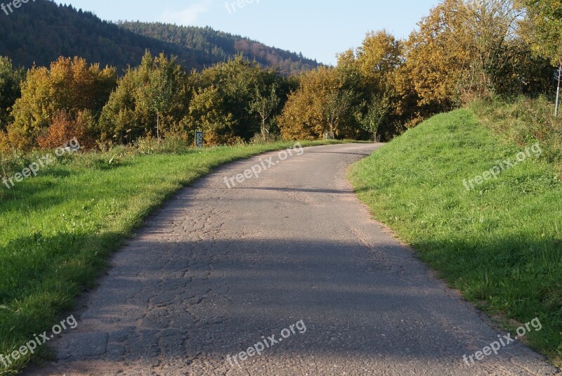 Road The Curve Of Road Away Cycle Path Autumn