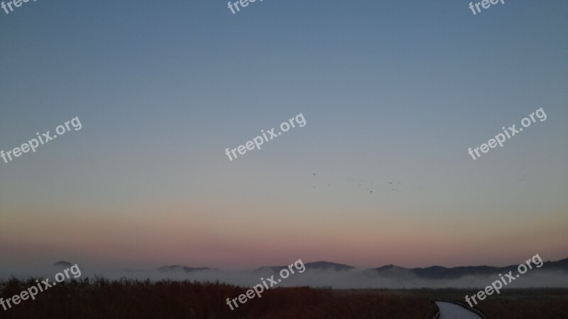 Suncheon Bay Dawn Fog Free Photos