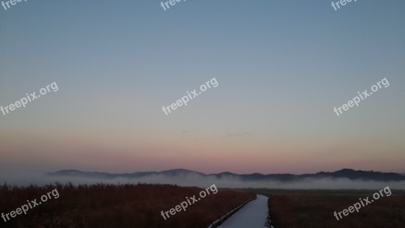 Suncheon Bay Dawn Fog Free Photos