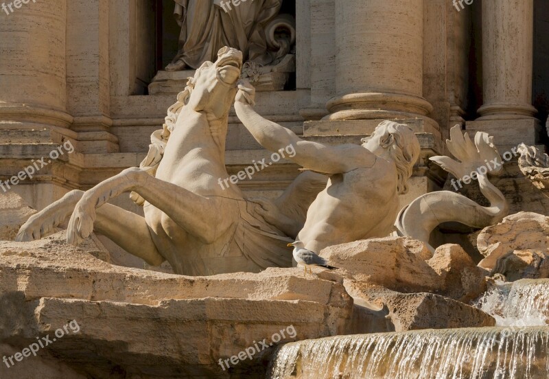 Trevi Fountain Rome Italy Left Detail Landmark