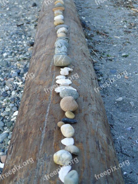 Stones Rocks Log Beach Nature