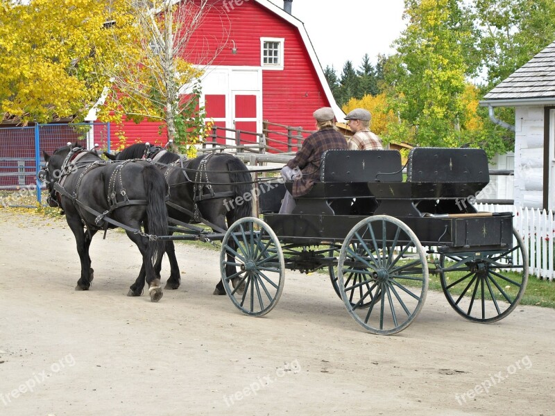 Horse Carriage Horses Park Alberta Canada