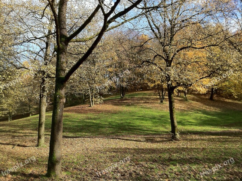 Munich Westpark Trees Slope Leaves