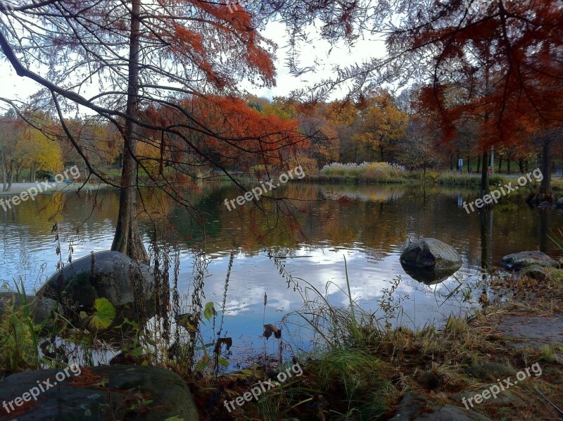 Munich Westpark Park Water Waters