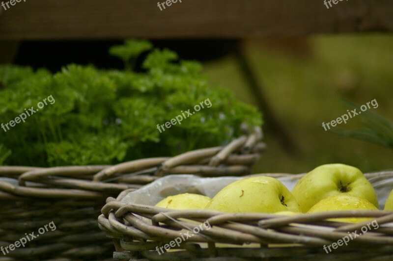 Apples Food Fruit Fresh Green