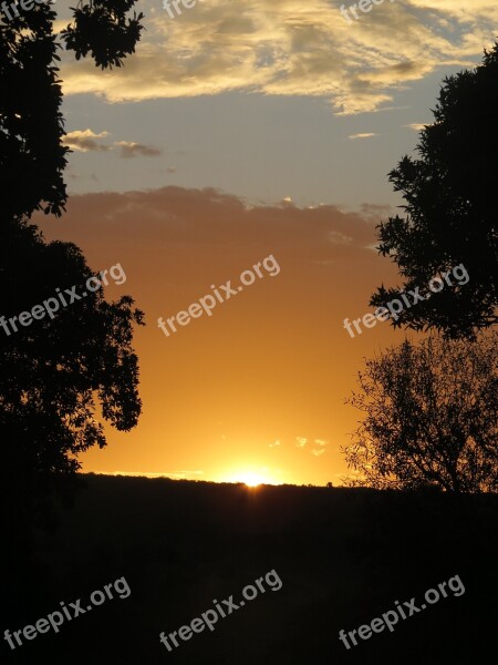 Sunset Silhouette South Africa Orange Trees