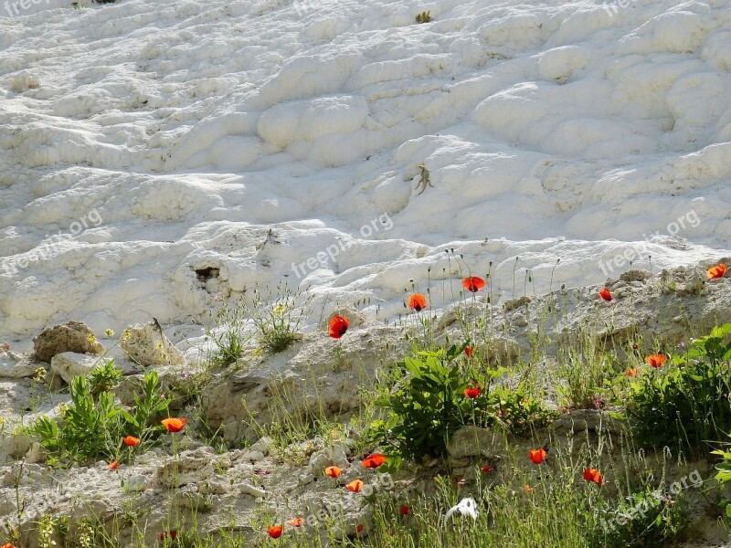 Pamukkale Turkey Lime Sinter Terrace Limestone Mineral