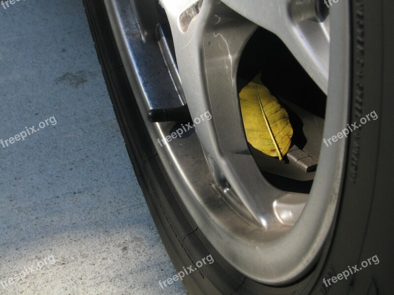 Tire Automotive Leaf Fall Maintenance