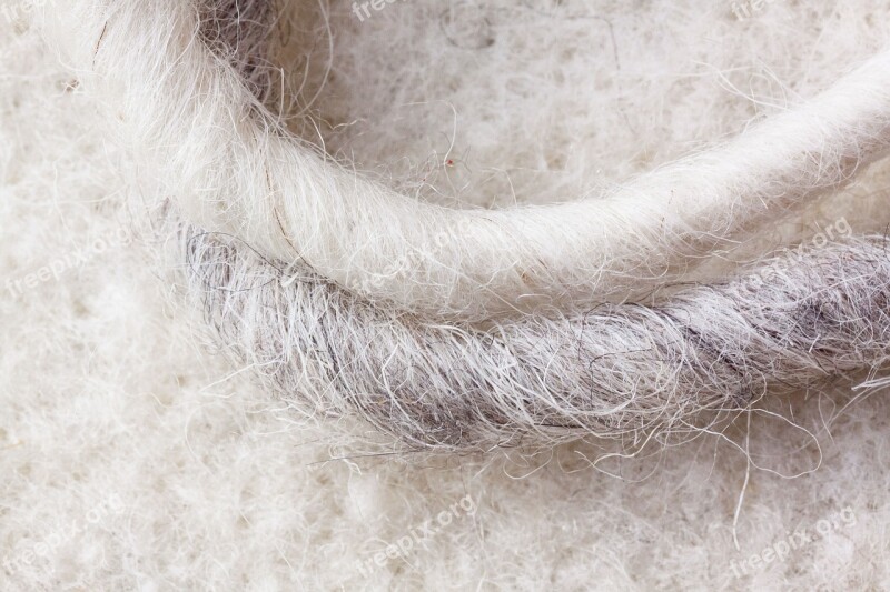 Sheep's Wool Sheep Wool-felt Natural Fiber Natural Product Felted