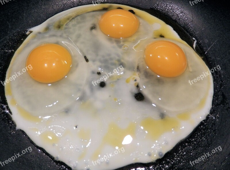 Fried Eggs Eggs Frying Pan Olive Oil Egg Sunny-side Up