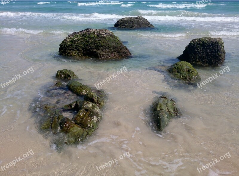 Kirra Beach Rocks Beach Ocean Moss