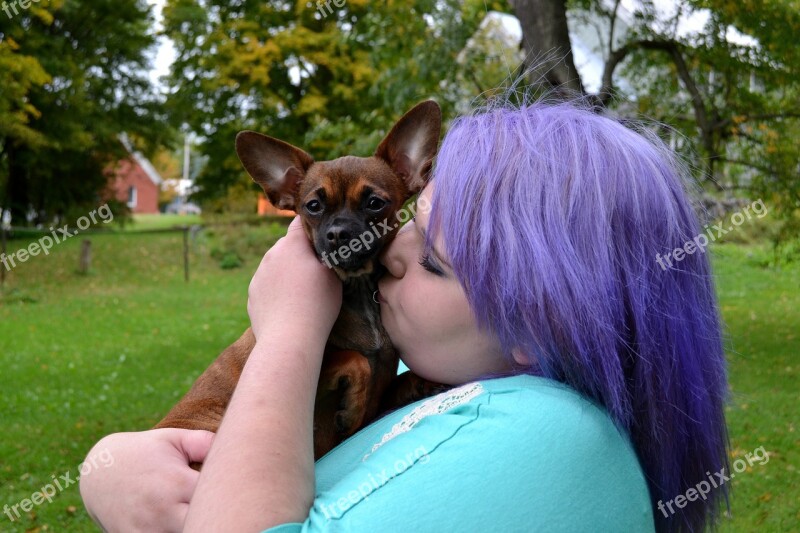 Dog Puppy Kissing Cute Chihuahua